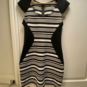Express Bodycon dress